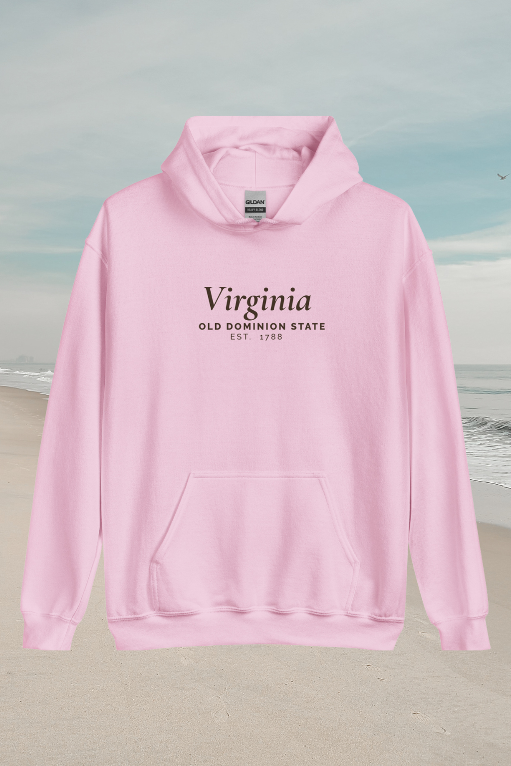 Virginia Postcard Hoodie