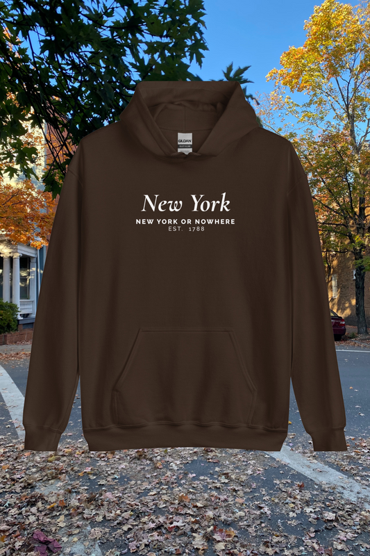New York Fall Postcard Hoodie