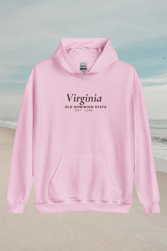Virginia Postcard Hoodie